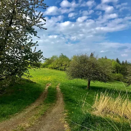 Komfort Appartement - Am Reitersberg Marpingen Eksteriør billede